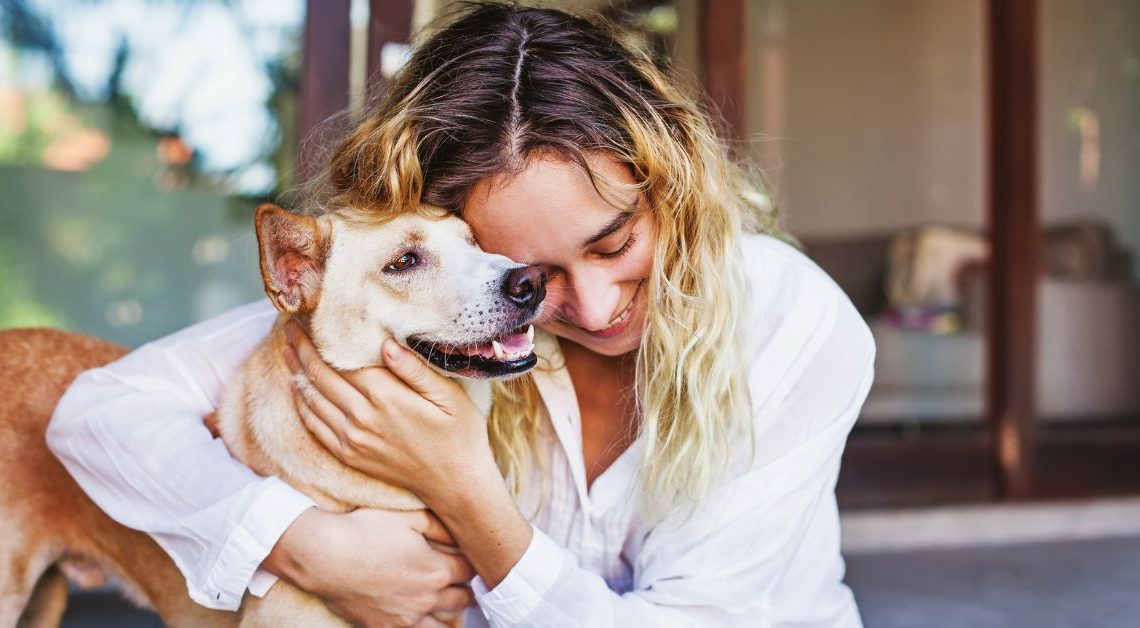 Perché Adottare un Cane Adulto o Anziano Invece di un Cucciolo - Blog Assaperlo