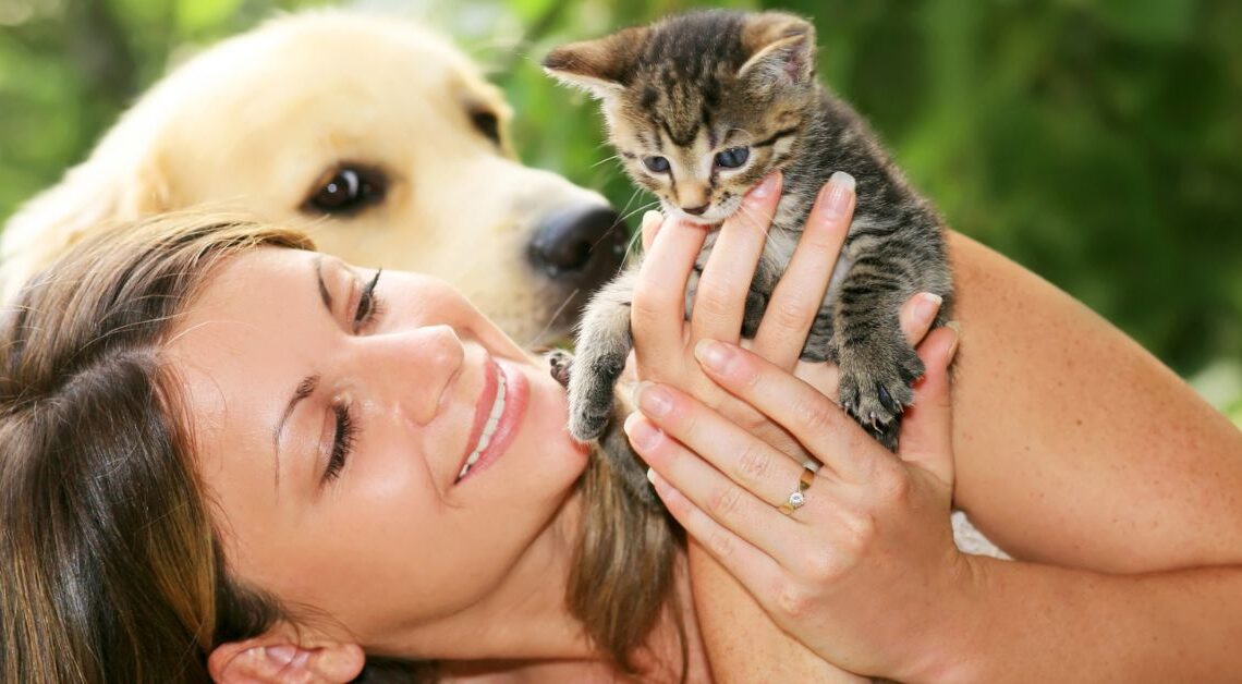 Perché Assicurare il Cane e il Gatto