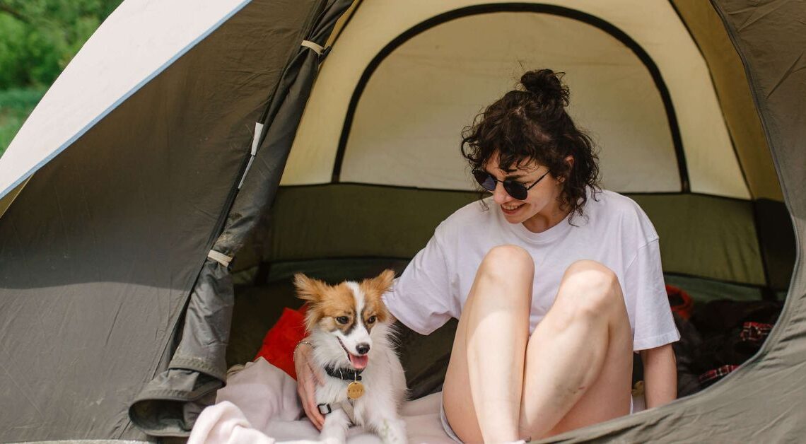 Consigli per Andare in Campeggio con il Cane