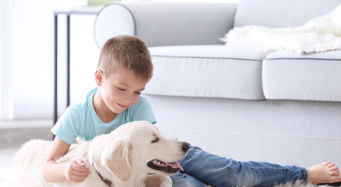 Quali Sono le Razze di Cane Più Adatte ai Bambini